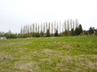 Picture of Point Roberts Parcel Number 405303-448240